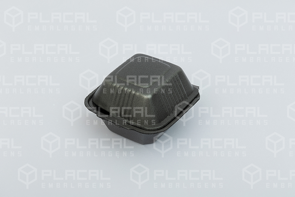 Placal - WebVersion - GPAC0472